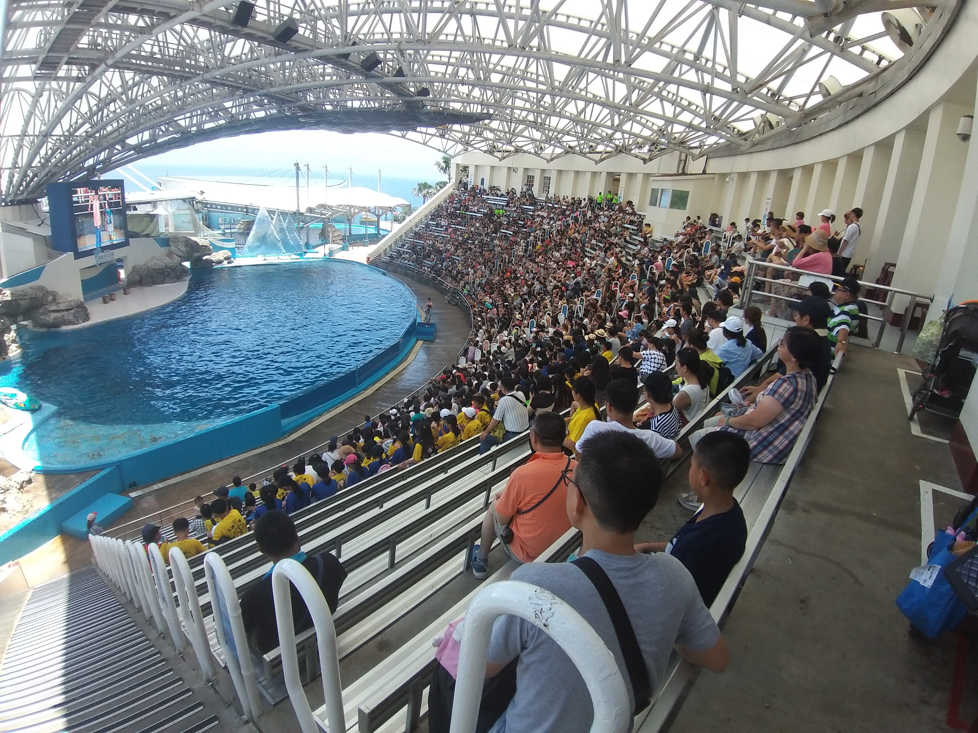 遠雄海洋公園推出「暑期超級季票$699」不限次數暢遊公園