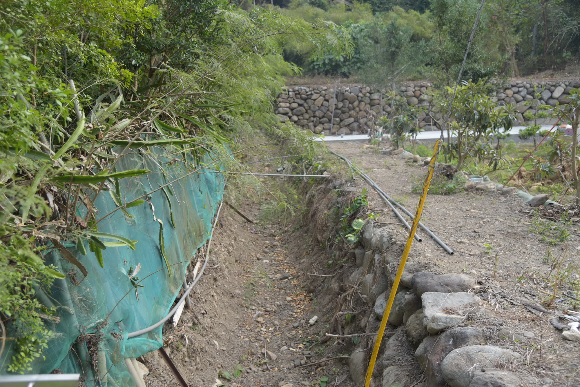 水里鄉農富村坑溝排水問題 林縣長會勘同意施設排水溝改善
