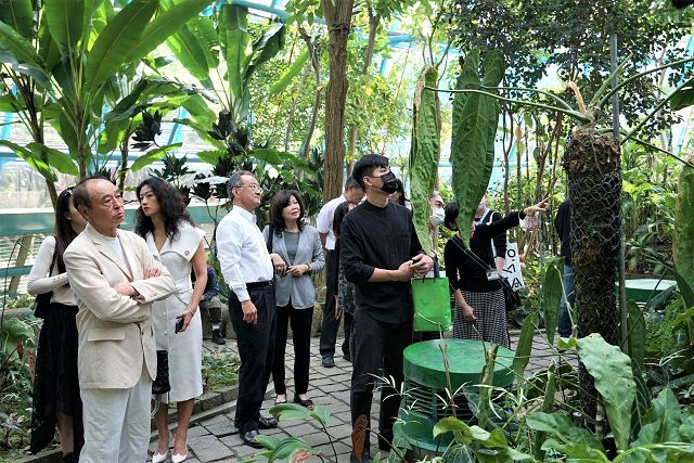 科博館植物園 Ｘ 當代藝術創作 《草木一見》特展